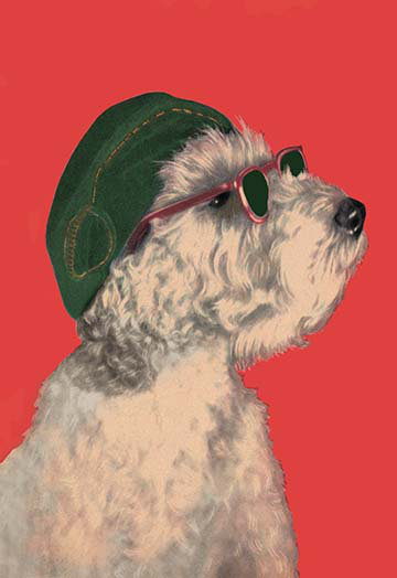 Dog with hat and glasses hotsell